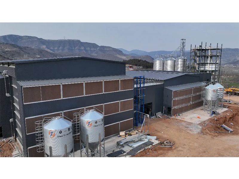 夏季養(yǎng)雞僅關(guān)注溫度環(huán)境？飼料安全須高度重視！