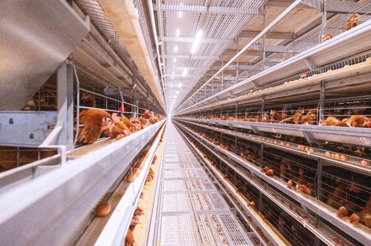 夏季來臨，使用水簾時需要注意哪些事項(xiàng)？